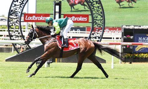 Queensland Derby 2024 .